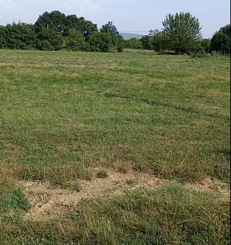 Prodaja – plac u Kosiću kod Danilovgrada